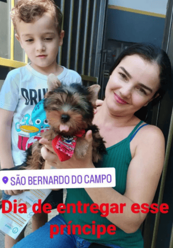 canil_esmeralda_img_04