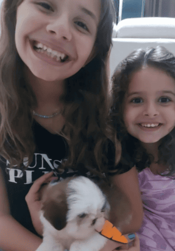 canil_esmeralda_img_07